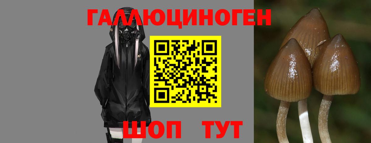 Псилоцибиновые грибы мухоморы Златоуст